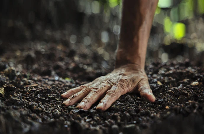 ręka wyczuwa puls Ziemi
