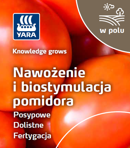 Broszura