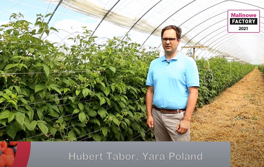 Film na kanale Youtube