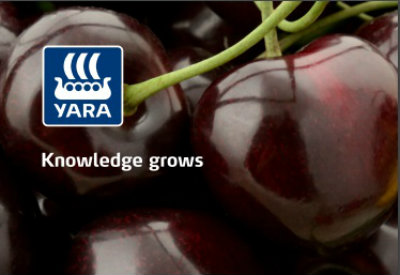 Seminarium czereśniowe